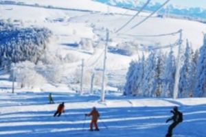 La munte ”a nins degeaba” – Primăria Braşov