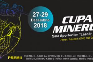 Fotbal: Cand va avea loc Cupa Minerul 2018
