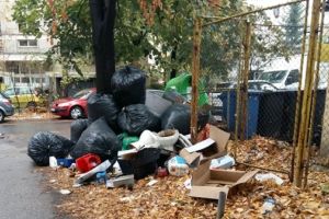 A inceput campania de colectare a deseurilor voluminoase. Primele probleme