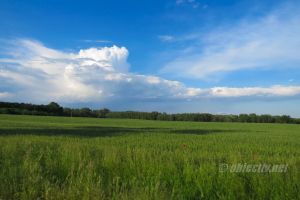 APM: Viza anuală de mediu, obligatorie!