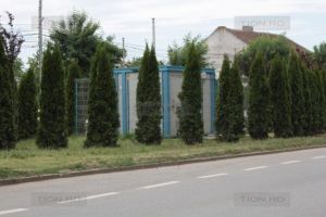 Timisoara inclusa in proiectul Oxigen pentru combaterea poluarii atmosferice