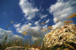 Mercur retrograd in Sagetator (17 noiembrie - 6 decembrie). Renovarea si restaurarea credintelor