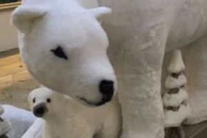 Un aranjament de CRĂCIUN lasă clienţii cu gura căscată. Cum e posibil aşa ceva într-un mall unde vin şi adolescenţi. Foto în articol