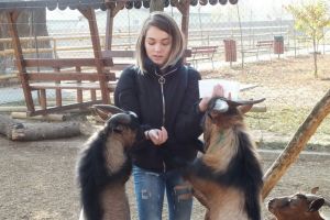 Lecţie de jurnalism la Zoo Oradea (FOTO)