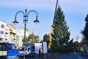 Simbolul Crăciunului a sosit în centrul municipiului Târgu-Mureş!