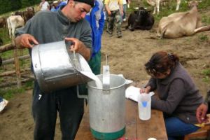 FALIMENTUL care poate evea un EFECT de DOMINO dezastruos pentru România