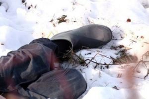 A murit ÎNGHEŢAT pe câmp!