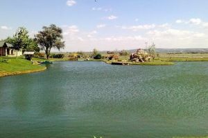 “Amenajare piscicolă şi de agrement”, proiect Geiger la Reghin