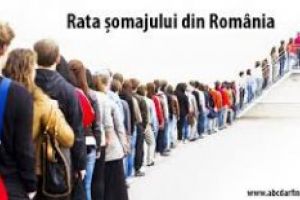 Rata şomajului din judeţ, în uşoară creştere