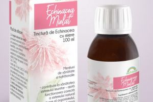 Tinctura de Echinacea cu miere pentru imunitate, pruritul (mâncărime a) pielii în boli hepatice cronice şi stres