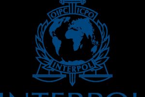 Interpol are un nou presedinte 