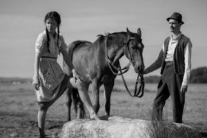 
Unde poţi vedea Moromeţii 2? Record absolut după primul weekend în cinematografe
