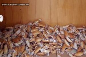 Imagini revoltătoare într-o şcoală! Cornurile pentru elevi, depozitate pe jos