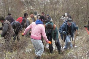 La Fălticeni au fost plantaţi aproape 9. ...
