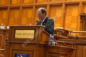 Agenda parlamentară: Dumitru Lupescu (USR) – Declaraţie politică pe tema şoselei de centură şi a pasarelei de la Găeşti