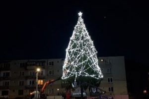 Cavnicul va avea bradul de Craciun impodobit la 1 Decembrie. Autoritatea locala se pregateste pentru “Parada Brondosilor”