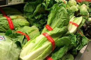 Nu mănânca salata verde, este infestată cu E.coli!  Avertizează oficialii din domeniul sănătăţii