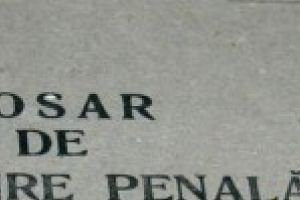 Un tanar din comuna Silistea conducea masina neavand permis de conducere