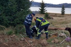 Imagini emoţionante. O căţeluşă aşteaptă cu nerăbdare ca pompierii să îi salveze puiul (FOTO)