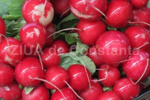 Ridichile rosii de primavara ofera o multime de beneficii nutritionale