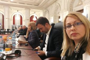 Cristina Iurişniţi: Întâlnire cu delegaţia PE condusă de Antonio Tajani. Ce s-a discutat