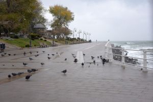 Toamna ploioasa la Constanta