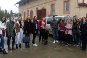 17 elevi ai Colegiului National „Mihai Eminescu”  Baia Mare au explorat tainele meseriei de politist