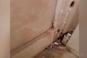 În timp ce guvernanţii refuză fondurile UE pentru spitalele regionale, cele existente sunt mizerabile: Gândaci filmaţi la Spitalul Judeţean din Craiova