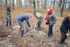 FOTO. Directorii de instituţii au ieşit la plantat de copaci