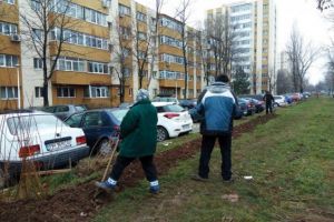 2000 de ploieşteni contravenienţi îşi vor plăti amenzile prin muncă în folosul comunităţii!