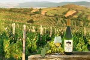 Vinul Baronului, lansat de Muzeul Brukenthal, împlineşte 9 ani – Cu cât se vinde