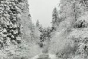 Au dispărut gropile din drumul spre Semenic! Nu şi proprietarii privaţi!