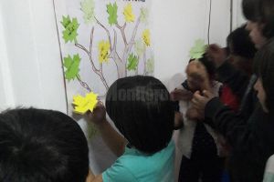 Activităţi de prevenire a abuzurilor şi violenţei asupra copiilor şi tinerilor, ...