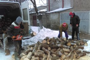 Direcţia Silvică Harghita: Lemnele de foc s-au vândut cu 80 la sută mai mult faţă de anul trecut