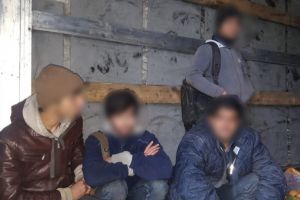 Judetul Constanta: Patru cetateni afgani, opriti sa intre ilegal in Romania, la P.T.F. Negru Voda