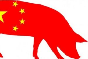Lovitură de graţie pentru China. Epidemia de pestă porcină africană a fost depistată pentru prima dată la Beijing 