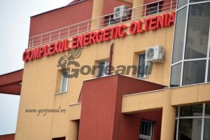 Doar 0,5% dintre salariaţii CEO au boli profesionale