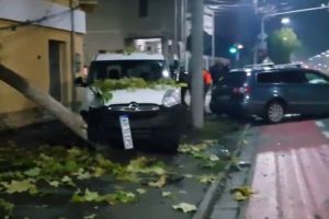 CARAMBOL pe şosea, în Arad: PATRU autoturisme, implicate într-un ACCIDENT! O maşină a ajuns pe TROTUAR