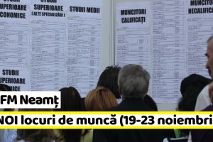 AJOFM Neamţ: 64 NOI locuri de muncă, comunicate în săptămâna 19-23 noiembrie