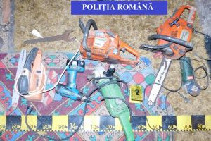 Cinci bărbaţi care au furat fier vechi, unelte electrice şi doi ponei, reţinuţi (FOTO)