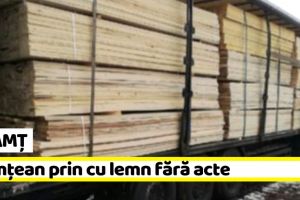Neamţ: Lemn confiscat şi 10.000 de lei amendă pentru un nemţean