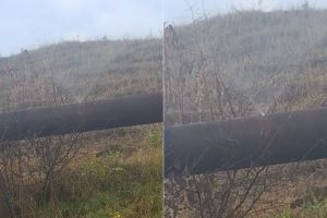 FOTO / ȘTIREA TA: Viitoare fântână arteziană la intrarea în Mirăslău? Sau nepăsarea autorităţilor?