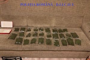 Arest preventiv pentru tinerii acuzaţi de trafic de droguri