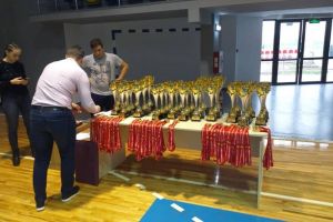 Aur şi bronz pentru luptătorii gorjeni