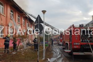 Dezastru la Murfatlar. Pompierii se lupta de mai multe ore cu flacarile. Zeci de familii in pericol sa isi piarda casele din cauza incendiului de azi noapte (galerie foto) 