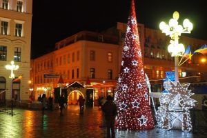 Nu mai există brazi frumoşi în România. Pomul de Crăciun, importat din Italia