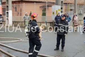 Imaginea zilei. Misiune de salvare la Murfatlar in blocul cuprins de flacari. Pe cine au salvat militarii ISU Dobrogea din incendiu (galerie foto)