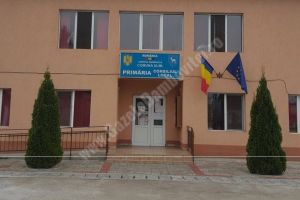 ULMI: Coşurile de gunoi stradale, ţinta hoţilor. Primăria cere sprijinul cetăţenilor