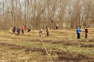 1200 de puieţi forestieri, plantaţi pe raza Ocolului Silvic Alexandria