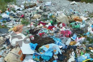 Târgu-Jiul, transformat în groapă de gunoi pentru Dolj şi Cămpia Turzii!